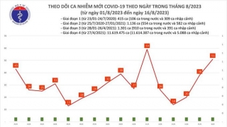 Tối 16/8: Ghi nhận 51 ca mắc COVID-19 mới, có 3 bệnh nhân khỏi bệnh