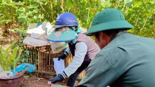 Lâm Đồng chủ động rà soát, đánh giá nguy cơ về dịch bệnh tại các vùng có nhiều khả năng bị ảnh hưởng do thiên tai