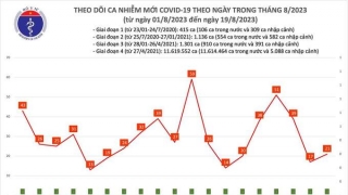 Tối 19/8: Có 15 bệnh nhân COVID-19 khỏi bệnh trong ngày