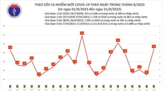 Tối 21/8: Ghi nhận 44 ca mắc COVID-19 mới, có 1 bệnh nhân khỏi bệnh