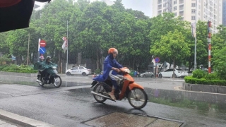 Các tỉnh, thành phố khu vực Bắc Bộ và Thanh Hoá ứng phó với mưa diện rộng và mưa lớn cục bộ