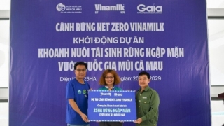 Vinamilk đẩy mạnh hình thành các “Cánh rừng Net Zero” với dự án tái sinh 25ha rừng ngập mặn tại Vườn Quốc gia Mũi Cà Mau