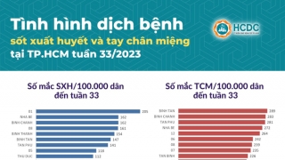 TP. HCM ghi nhận hơn 1.800 ca tay chân miệng trong tuần 33