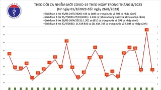 Tối 26/8: Ghi nhận 23 ca mắc COVID-19 mới, có 12 bệnh nhân khỏi bệnh