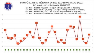 Tối 28/8: Ghi nhận 33 ca mắc COVID-19 mới, có 2 bệnh nhân khỏi bệnh