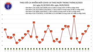 Tối 30/8: Ghi nhận 51 ca mắc COVID-19 mới, có 19 bệnh nhân khỏi bệnh