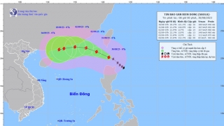 Tình hình cơn bão Saola đến 7h sáng hôm nay ngày 30/8