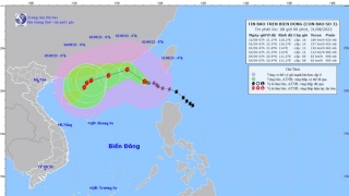 Tình hình bão Saola tính đến 7h sáng hôm nay ngày 31/8
