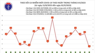 Tối 2/9: Ghi nhận 12 ca mắc COVID-19, có 4 bệnh nhân khỏi bệnh