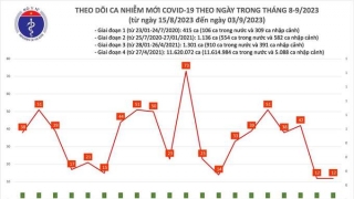 Tối 3/9: Ghi nhận 12 ca mắc COVID-19, có 4 bệnh nhân khỏi bệnh