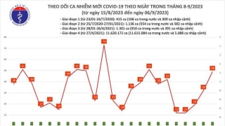 Tối 6/9: Ghi nhận 49 ca mắc COVID-19 mới, có 33 bệnh nhân khỏi bệnh