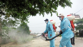 Quảng Nam tăng cường các biện pháp phòng chống dịch bệnh trên địa bàn tỉnh