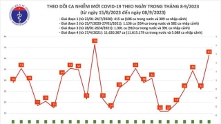 Tối 8/9: Ghi nhận 63 ca mắc COVID-19 mới, có 7 bệnh nhân khỏi bệnh