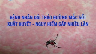 Bệnh nhân đái tháo đường mắc sốt xuất huyết - Nguy hiểm gấp nhiều lần
