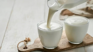 12 lợi ích của Probiotic với sức khoẻ