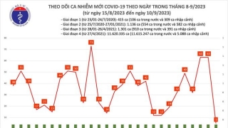 Tối 10/9: Có 12 bệnh nhân COVID-19 được công bố khỏi bệnh trong ngày