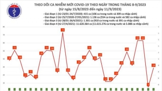 Tối 11/9: Ghi nhận 29 ca mắc COVID-19 mới, có 4 bệnh nhân khỏi bệnh