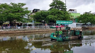 Cà Mau tổ chức các hoạt động hưởng ứng Chiến dịch làm cho thế giới sạch hơn năm 2023