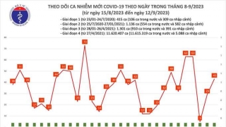 Tối 12/9: Ghi nhận 43 ca mắc COVID-19, có 3 bệnh nhân khỏi bệnh