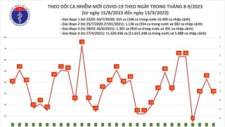 Tối 13/9: Ghi nhận 29 ca mắc COVID-19 mới, có 20 bệnh nhân khỏi bệnh