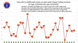 Tối 14/9: Ghi nhận 30 ca mắc COVID-19 mới