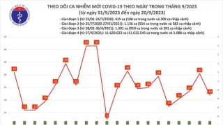 Tối 20/9: Ghi nhận 20 ca mắc COVID-19 mới, có 15 bệnh nhân khỏi bệnh