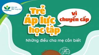 Những điều cha mẹ cần biết về vấn đề trẻ áp lực học tập chuyển cấp