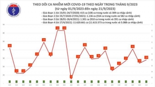 Tối 21/9: Ghi nhận 28 ca mắc COVID-19, có 10 bệnh nhân khỏi bệnh