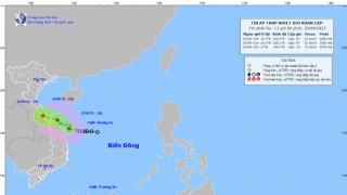 Tình hình áp thấp nhiệt đới tính đến 13h chiều ngày 25/9