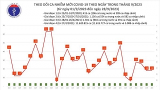 Tối 28/9: Ghi nhận 18 ca mắc COVID-19 mới, có 6 bệnh nhân khỏi bệnh