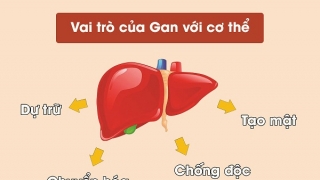 Bài thuốc bổ gan, mát gan, thanh lọc cơ thể