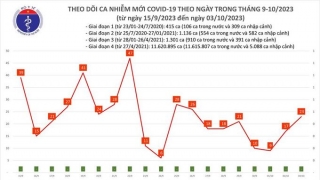 Tối 3/10: Ghi nhận 29 ca mắc COVID-19 mới, có 8 bệnh nhân khỏi bệnh