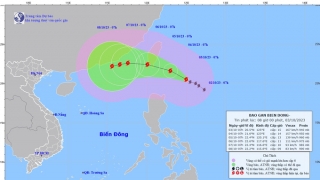 Tin bão gần biển Đông - Cơn bão mang tên KOINU