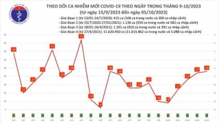 Tối 5/10: Ghi nhận 28 ca mắc COVID-19 mới, có 7 bệnh nhân khỏi bệnh