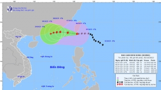 Tình hình cơn bão KOINU tính đến 7h sáng ngày 5/10