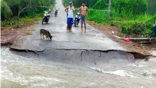 Bình Phước: Mưa lũ gây sập cầu, cống, giao thông chia cắt tại huyện Đồng Phú