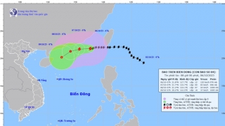 Tình hình cơn bão KOINU tính đến 7h sáng ngày 6/10