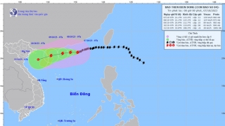 Tình hình cơn bão KOINU tính đến 7h sáng ngày 7/10