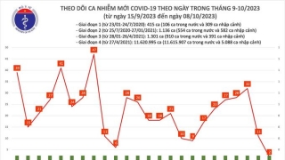 Tối 8/10: Ghi nhận thêm 2 ca mắc COVID-19 mới, có 4 bệnh nhân khỏi bệnh