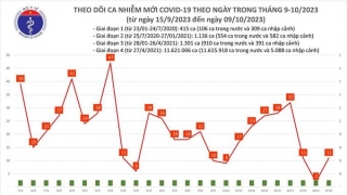 Tối 9/10: Ghi nhận 11 ca mắc COVID-19 mới, có 8 bệnh nhân khỏi bệnh