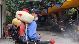 Hà Nội thực hiện đợt cao điểm truyền thông về phòng, chống dịch bệnh sốt xuất huyết