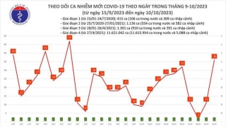 Tối 10/10: Ghi nhận 36 ca mắc COVID-19 mới, có 1 bệnh nhân khỏi bệnh