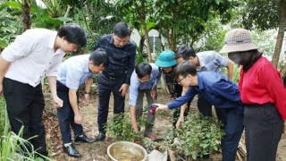 Hà Tĩnh xuất hiện ổ dịch sốt xuất huyết Dengue đầu tiên