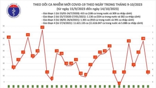 Tối 14/10: Ghi nhận 11 ca mắc COVID-19 mới, có 1 bệnh nhân khỏi bệnh