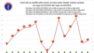 Tối 15/10: Có 15 bệnh nhân COVID-19 được công bố khỏi bệnh