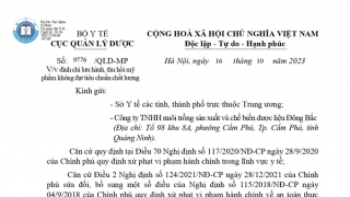 Đình chỉ lưu hành, thu hồi mỹ phẩm Dầu gội dược liệu Đông Bắc không đạt tiêu chuẩn chất lượng của Công ty TNHH Dược liệu Đông Bắc