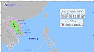Tin áp thấp nhiệt đới trên Biển Đông