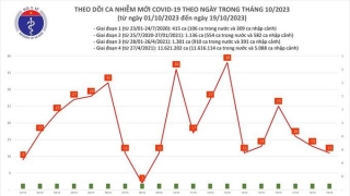 Tối 19/10: Ghi nhận 11 ca mắc COVID-19 mới, có 12 bệnh nhân khỏi bệnh