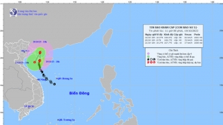 Tình hình cơn bão số 5 tính đến 13h chiều ngày 19/10