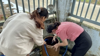 Lâm Đồng tăng cường phòng, chống dịch tay chân miệng, sốt xuất huyết, đậu mùa khỉ và các dịch bệnh truyền nhiễm khác